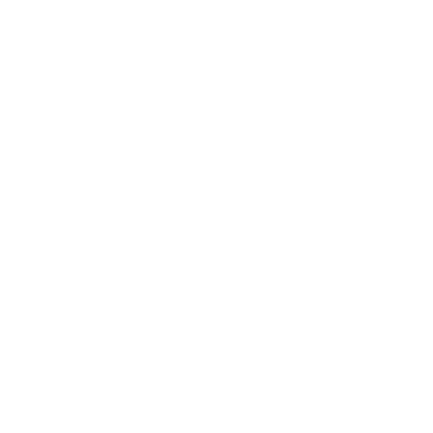 Digital Marketing Company BT Web Group White Logo Digital Marketing Company BT Web Group White Logo